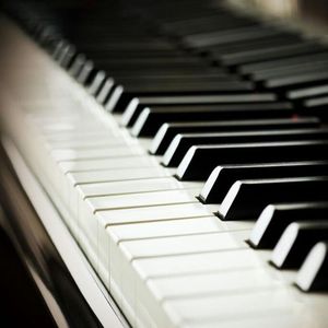 麻豆视传媒短视频免费网站在线看
