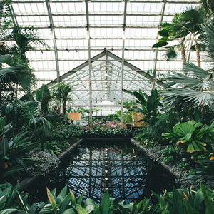 麻豆视传媒短视频免费网站在线看
