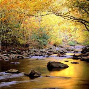 麻豆视传媒短视频免费网站在线看
